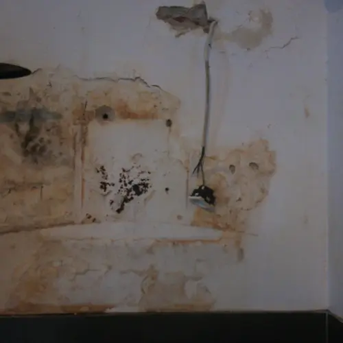 traitement moisissures- humidité - Gaillac
